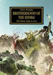 Brotherhood of the Storm (couverture originale)
